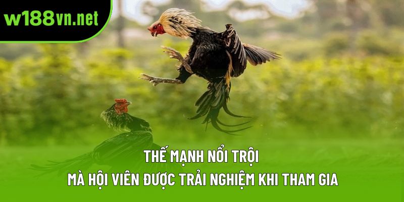 Thế mạnh nổi trội mà hội viên được trải nghiệm khi tham gia