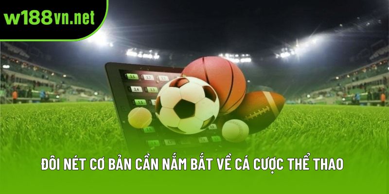 Đôi nét cơ bản cần nắm bắt về cá cược thể thao